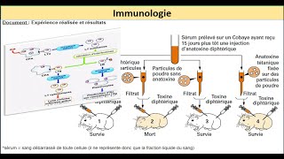 immunologie le systeme immunitaire exercices svt bac 2022 QCM 02 [upl. by Alyled130]