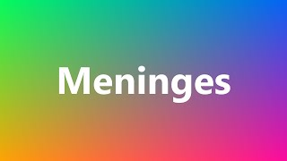 Meninges  Medical Meaning and Pronunciation [upl. by Yug460]