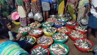 நாகை துறைமுகத்தில் மீன் விற்பனை செய்யும் அழகுFISH HORBOUR IN NAGAI [upl. by Sulrac]