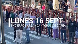 Encierros Arganda 2024  Segundo del lunes 16 Septiembre Capea [upl. by Niamart]