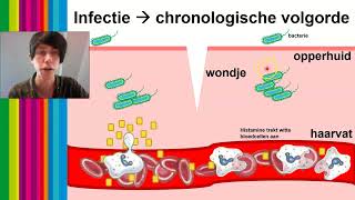 Vwo 56  Biologie  Afweer H1621  6 Humorale immuniteit  totaaloverzicht imuunrespons §3 [upl. by Gambrell689]