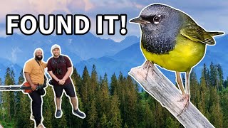 Birding wJason Hall  3 Unsolved Bird Mysteries [upl. by Drahsir]