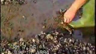 Hunstanton England Crabbing [upl. by Dysart410]