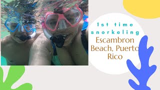 Escambron Beach Snorkeling Our 1st time EVER Snorkeling [upl. by Lynnworth]