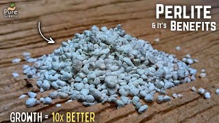 A Mastering Guide On How to Use Perlite For Plants DO amp DONTS Added [upl. by Ayekal]