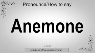 How to Pronounce Anemone [upl. by Eerual]