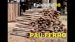 Episódio 08 PauFerro – Arquitecto Vino – Morrumbene [upl. by Mayda]