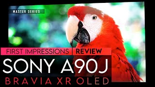 Sony A90J Worth It In 2022  XR Bravia Master Series OLED TV Review [upl. by Eneli]