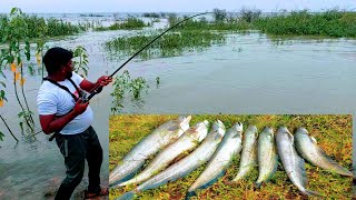 Fishing videos  Wallago Attu catfish catching  Big murral fish hunting  Fishing [upl. by Rebekkah953]