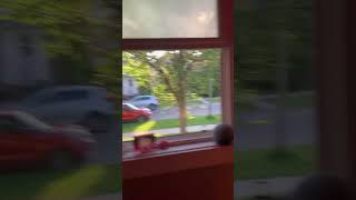 girl blasting caramelldansen out her window in the evening [upl. by Ymia155]