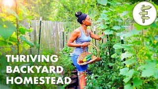 Womans Incredible Backyard Homestead Produces TONS of Food for Her Family – URBAN GARDEN TOUR [upl. by Reiss]