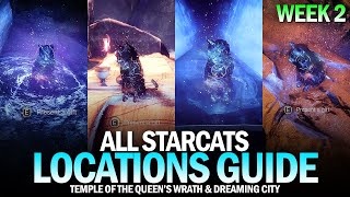 All Starcat Locations Guide  Week 2 Temple of the Queens Wrath amp Dreaming City Destiny 2 [upl. by Schapira]