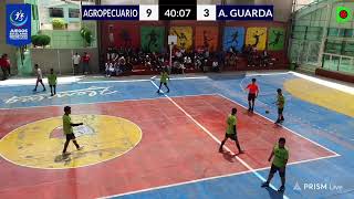 AGROPECUARIO vs A DE LA GUARDA Cat B varones  Etapa Regional jedpa2024 [upl. by Krenek965]