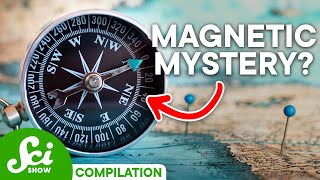 What Do Magnetic Fields Actually Do  SciShow Compilation [upl. by Enigroeg]