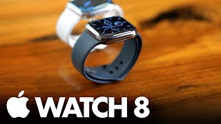 Apple Watch Series 8 Stainless Steel  Graphite vs Silver [upl. by Bollen]