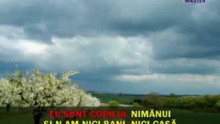 Cantece populare romanesti  Sami canti cobzar  Karaoke [upl. by Hubert]