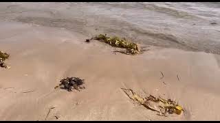 At bundeena bay Easter Sunday [upl. by Pearlman]