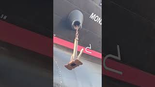 BIG VESSEL DROP ANCHOR IN SHIPYARD❗😱 vessel youtubeshorts anchor anchoring danger safetyfirst [upl. by Hui620]