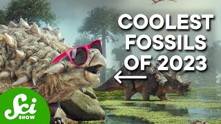 These Are The Coolest Fossils From 2023 [upl. by Eerazed154]