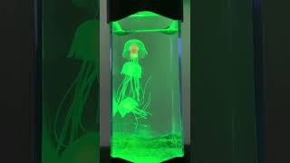 Floating Jellyfish Lamp 水母幻彩燈 [upl. by Kile]