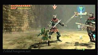 Legend of Zelda Twilight Princess Walkthrough 21 78 quotCave of Ordeals Floors 4850quot [upl. by Shurlocke]