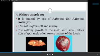 Spoilage of fruits and vegetables [upl. by Ainek]