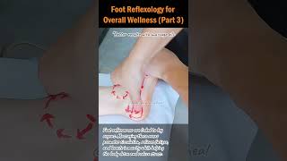 Foot Reflexology for Overall Wellness Part 3 footreflexology stressrelief naturalhealing [upl. by Ellives]