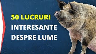 50 Curiozități Despre Animale Corpul Uman Și Lumea În Care Trăim [upl. by Razid]