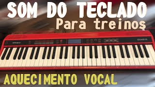 SOM DO TECLADO PARA TREINOS AQUECIMENTO VOCAL  AULA DE CANTO 1 [upl. by Ytsenoh53]