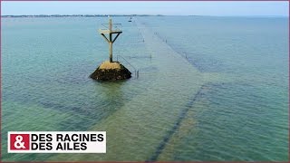 Le passage du Gois [upl. by Aemat]