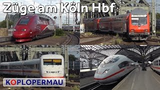 Treinen op Station Keulen Hauptbahnhof Köln Hbf [upl. by Ainak201]