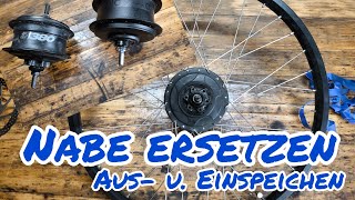 Nabe ersetzen aus und einspeichen eines Laufrad Enviolo Heavy Duty Nuvinci cargo ebike [upl. by Queridas]