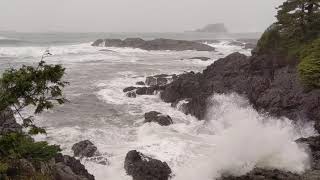 Watching Stormy Waves roll into Secret Cove at Wickaninnish Inn [upl. by Fortunio]