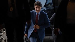 LILLEY UNLEASHED Trudeau Liberals are fighting with Elon Musk…for some reason [upl. by Alben185]