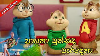 පායනා පුන්සඳ පැරදෙනා  payana punsada paradena remix  Chipmunks version song  Himabole Studio [upl. by Case]