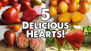 5 DELICIOUS HEARTSHAPED TOMATOES [upl. by Akenot]