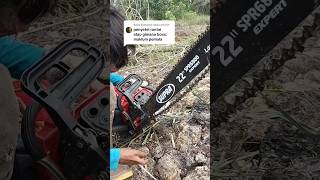 cara stel Rantai chainsaw mini chainsawmini chainsaw [upl. by Eiramalegna]