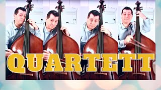 Kontrabass Quartett Cover  Catch a Falling Star  Tesei Musik [upl. by Fredie]