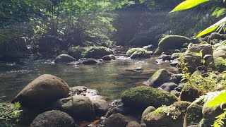 Working in nature Streamflow amp Water Level Measurement [upl. by Lasky]