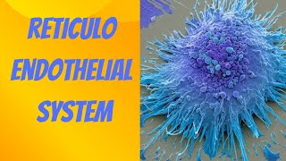 RETICULOENDOTHELIAL SYSTEM [upl. by Duff]