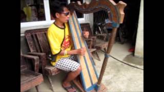 A Blind Man Plays Harp Like a PRO [upl. by Nevyar]