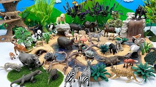 Wild Animal World With Schleich Safari 42321 Playset Building Safari For Animals  Cow White Tiger [upl. by Sairacaz531]