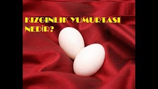 KIZGINLIK YUMURTASI NEDİR [upl. by Nido]