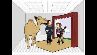 My Geico Camel Commercial [upl. by Kelci]