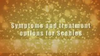 Symptoms and treatment options for Scabies  Onlymyhealthcom [upl. by Lenahtan]