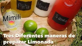 Tres diferentes maneras de preparar Limonadas  Menta Sandia y Piña  Novateando en la Cocina [upl. by Kirby]