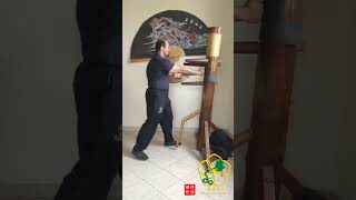 Ving Tsun Kung Fu  Drill for Skill [upl. by Mildrid713]