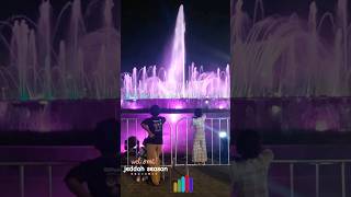 Beautiful Dancing Fountain ⛲️ youtubeshorts dancingfountains beautiful colors shorts [upl. by Yrohcaz614]