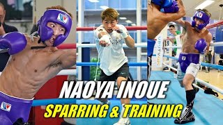 Naoya Inoue Sparring amp Training [upl. by Jaime199]