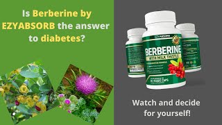 Berberine vs Metformin  The Amazing Benefits of Berberine [upl. by Yvel]